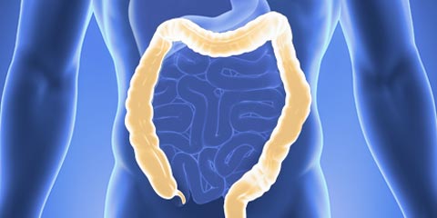 Колоноскопия в Германии. Эндоскопия кишечника