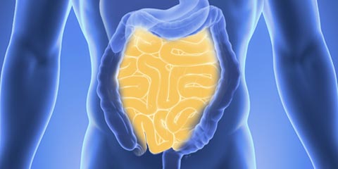 Лечение кишечника в Германии. Эффективно