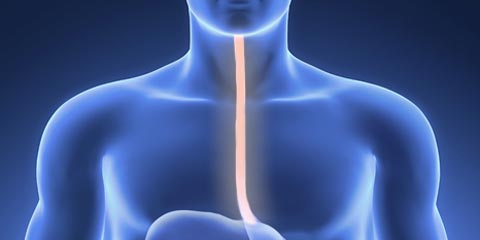 Лечение пищевода в Германии. Эффективные методы в клинике Пфундштайна